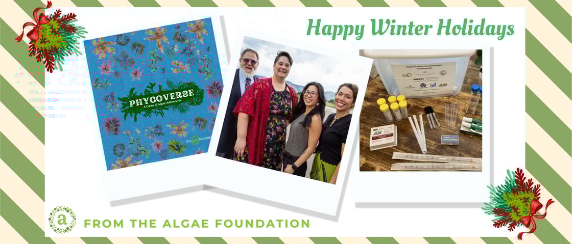 AF Dec 2025 Newsletter Footer